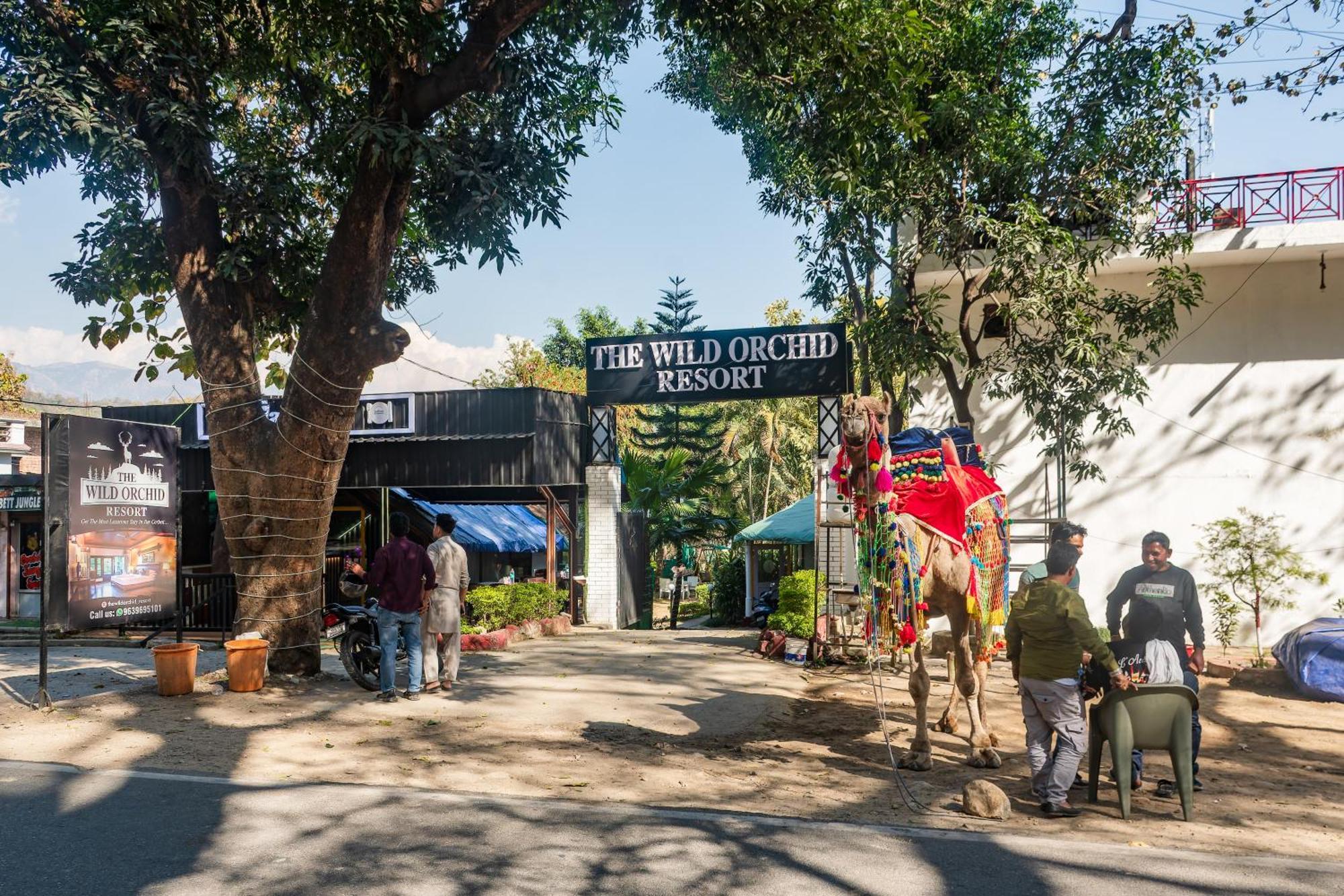 The Wild Orchid Resort Corbett Rāmnagar Exterior foto